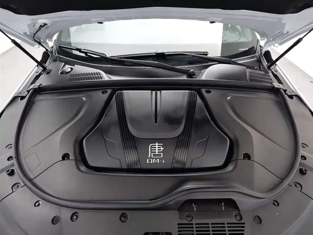 BYD Tang New Energy 2025 из CN, фото 10