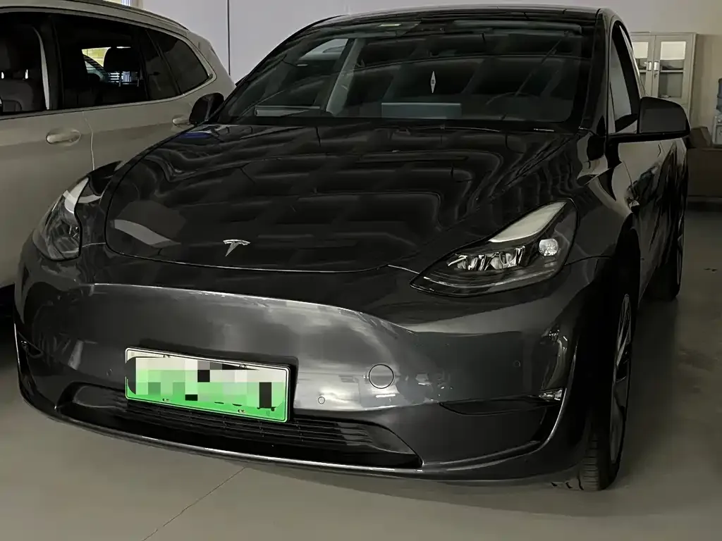 Tesla Model Y 2021 из CN, фото 1