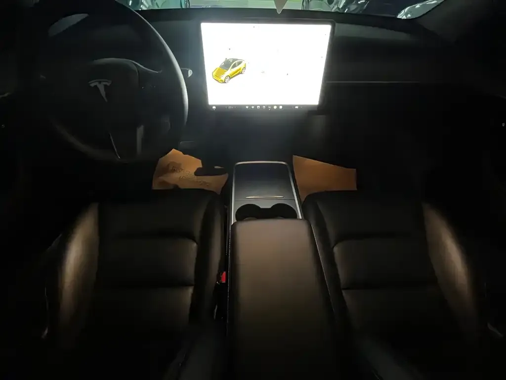 Tesla Model Y 2021 из CN, фото 8