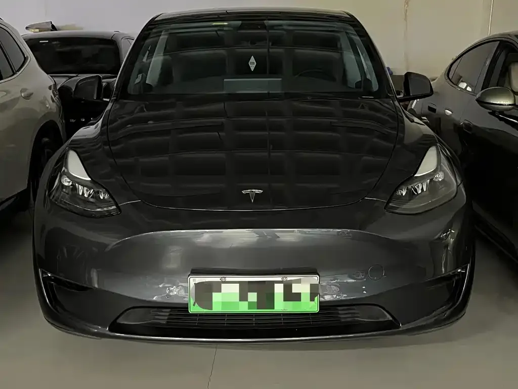 Tesla Model Y 2021 из CN, фото 3