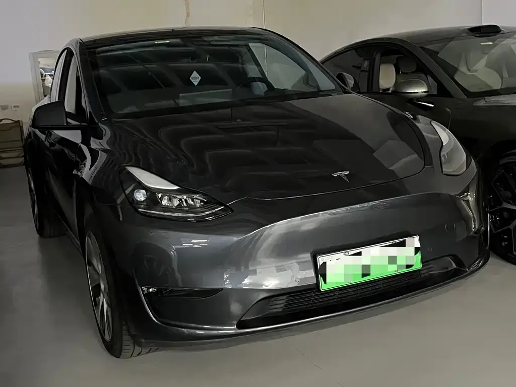 Tesla Model Y 2021 из CN, фото 2