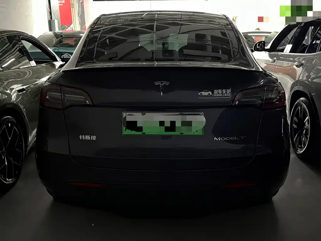 Tesla Model Y 2021 из CN, фото 5