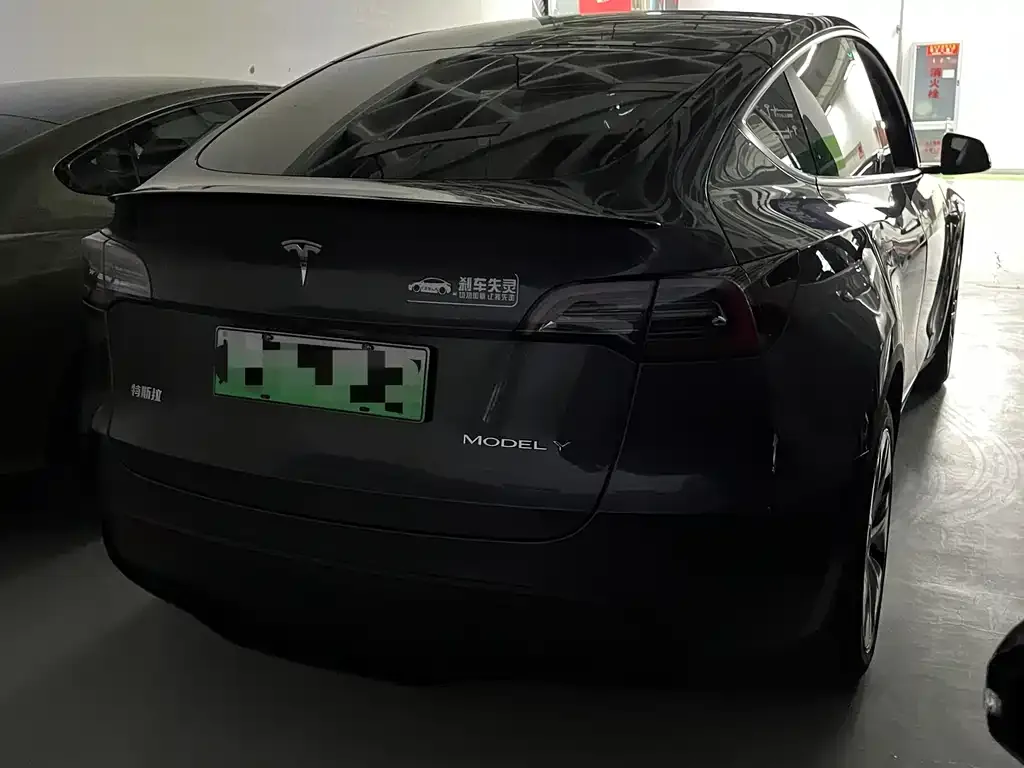 Tesla Model Y 2021 из CN, фото 6