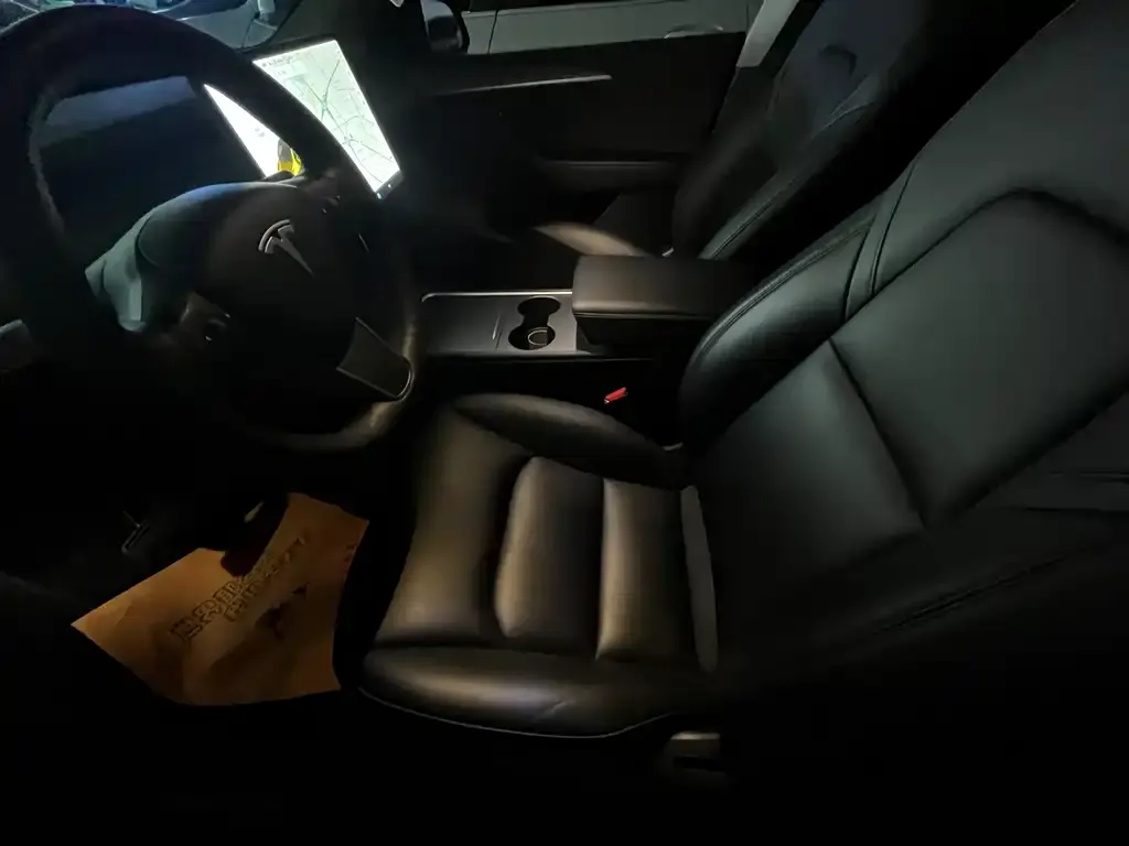 Tesla Model Y 2021 из CN, фото 7