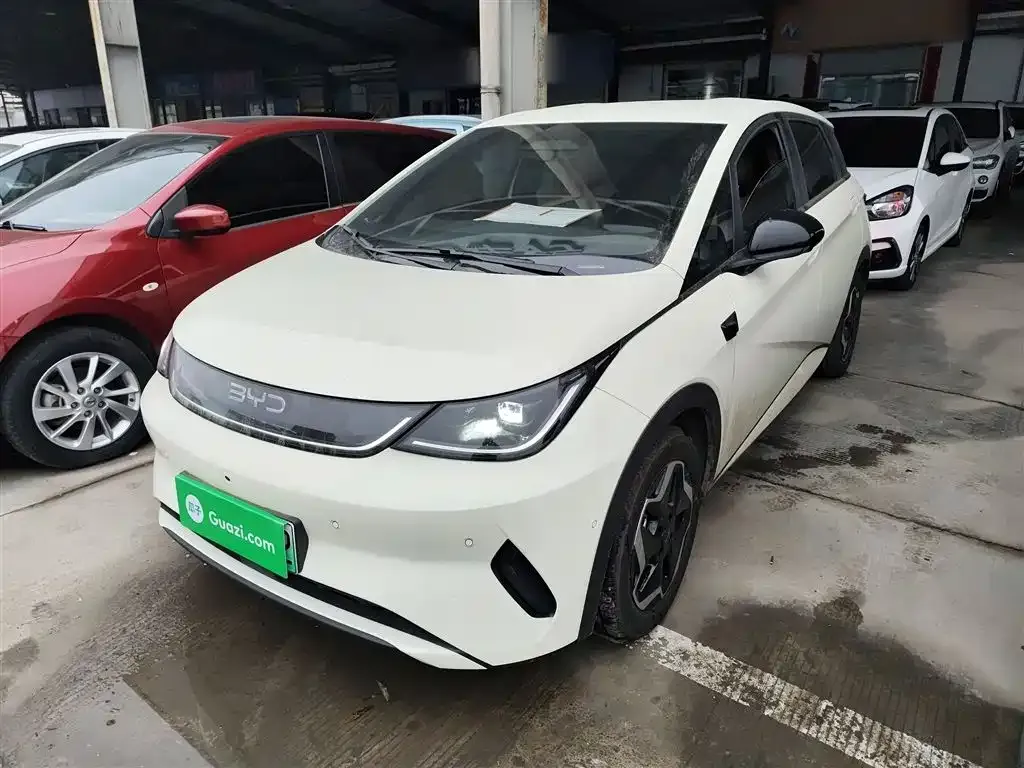 BYD Dolphin 2025 из CN, фото 1