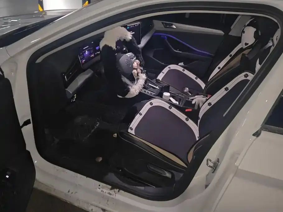 Volkswagen Sagitar 2024 из CN, фото 8