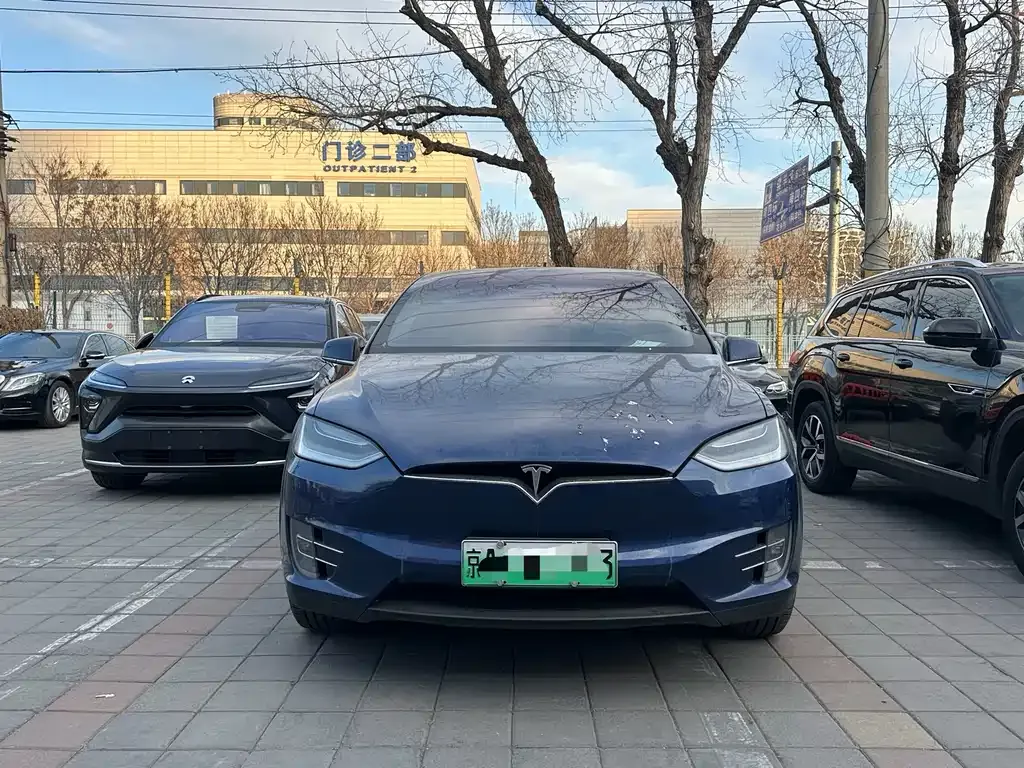 Tesla Model X 2021 из CN, фото 9
