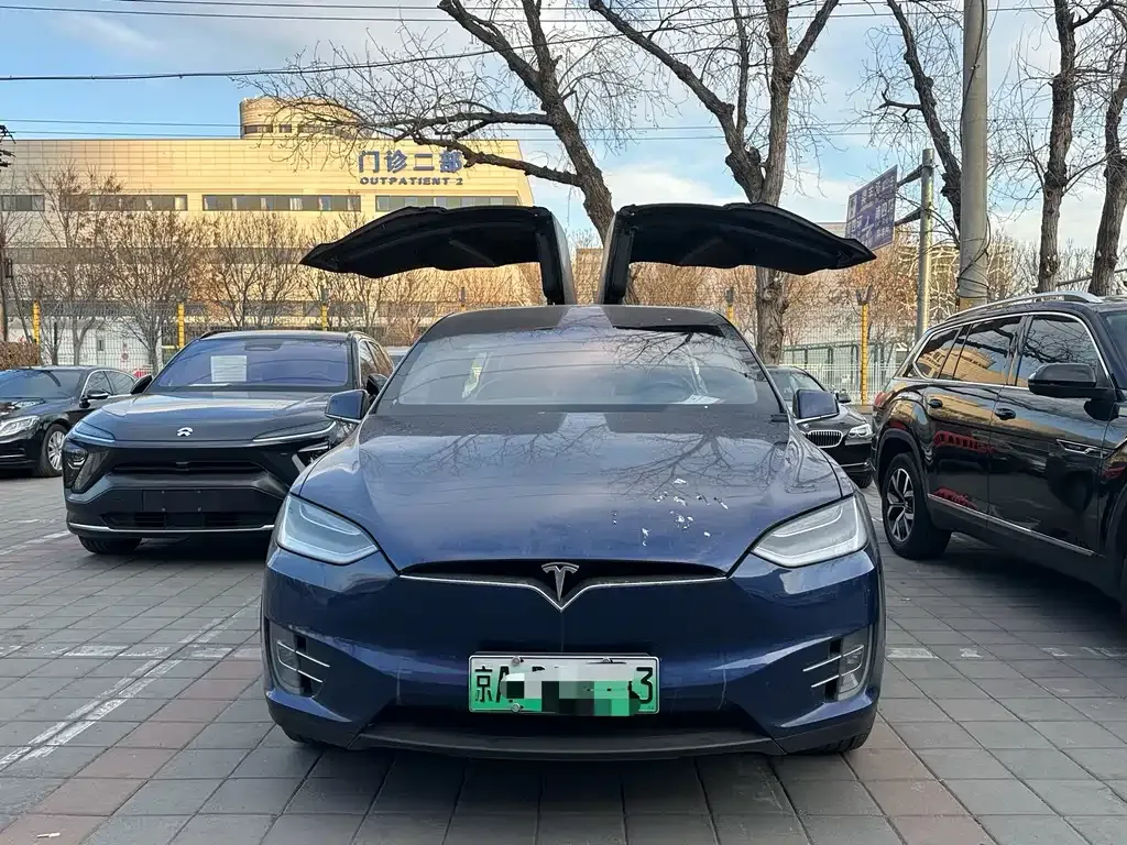 Tesla Model X 2021 из CN, фото 5