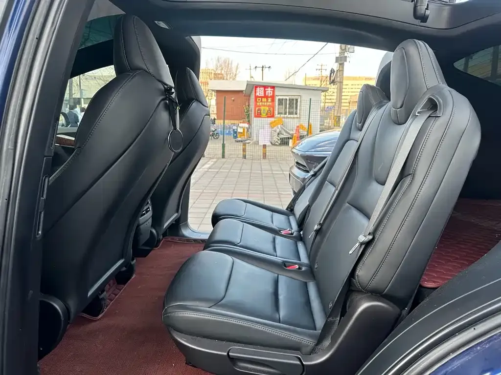 Tesla Model X 2021 из CN, фото 2