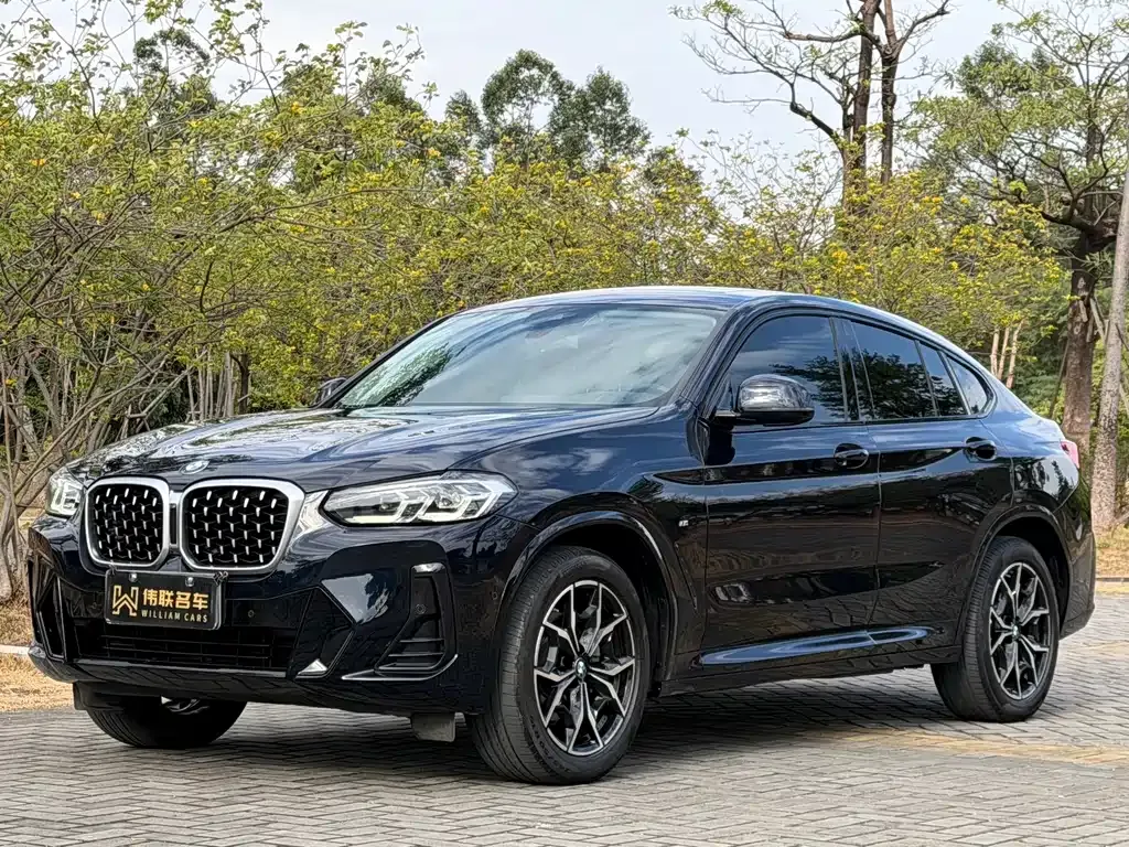 BMW X4 2023 из CN, фото 1