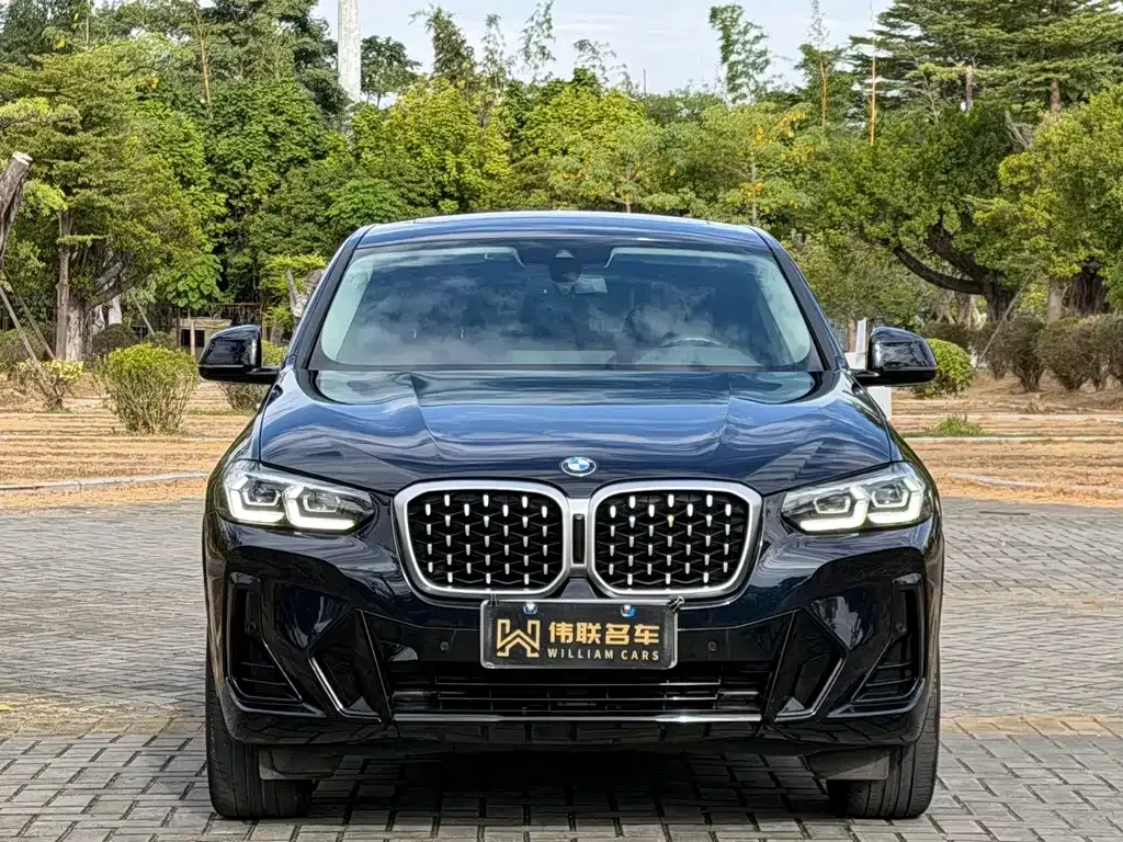 BMW X4 2023 из CN, фото 8