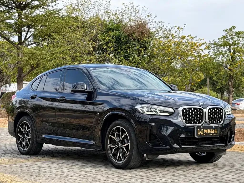 BMW X4 2023 из CN, фото 10
