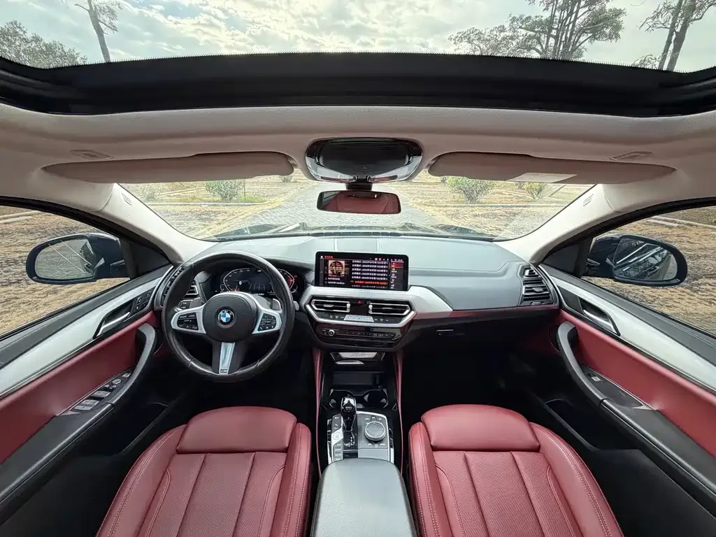 BMW X4 2023 из CN, фото 7