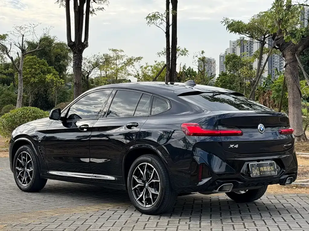 BMW X4 2023 из CN, фото 9