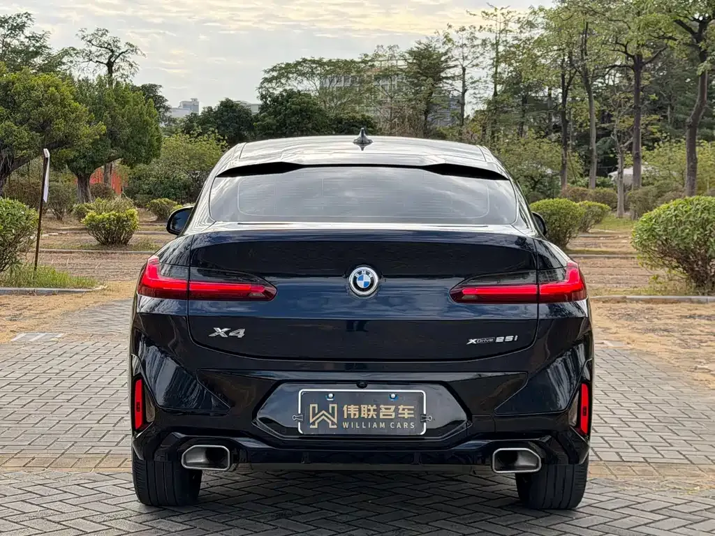 BMW X4 2023 из CN, фото 3