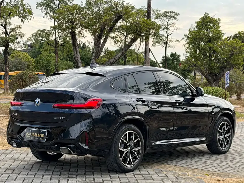 BMW X4 2023 из CN, фото 6