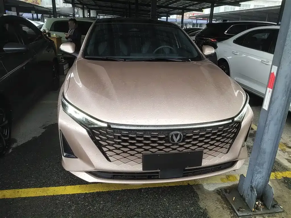 Changan Ruicheng PLUS 2022 из CN, фото 9