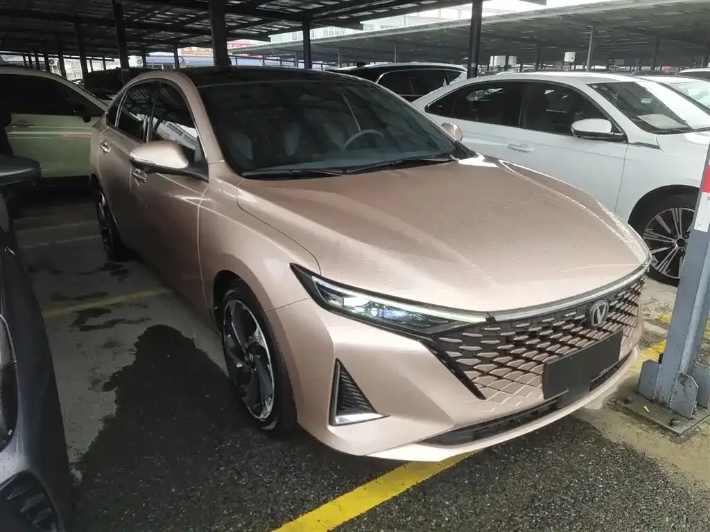 Changan Ruicheng PLUS 2022 из CN, фото 8