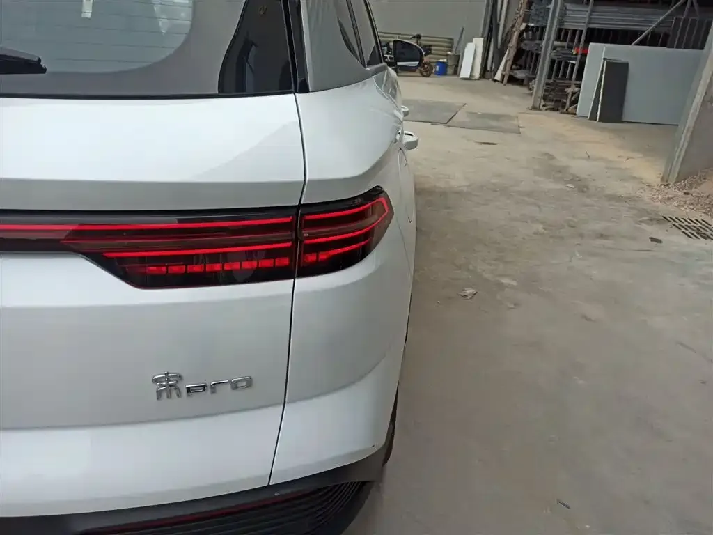 BYD Pro New Energy 2023 из CN, фото 8