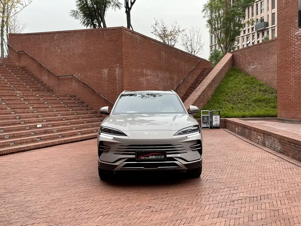 BYD PLUS New Energy 2025 из CN, фото 2