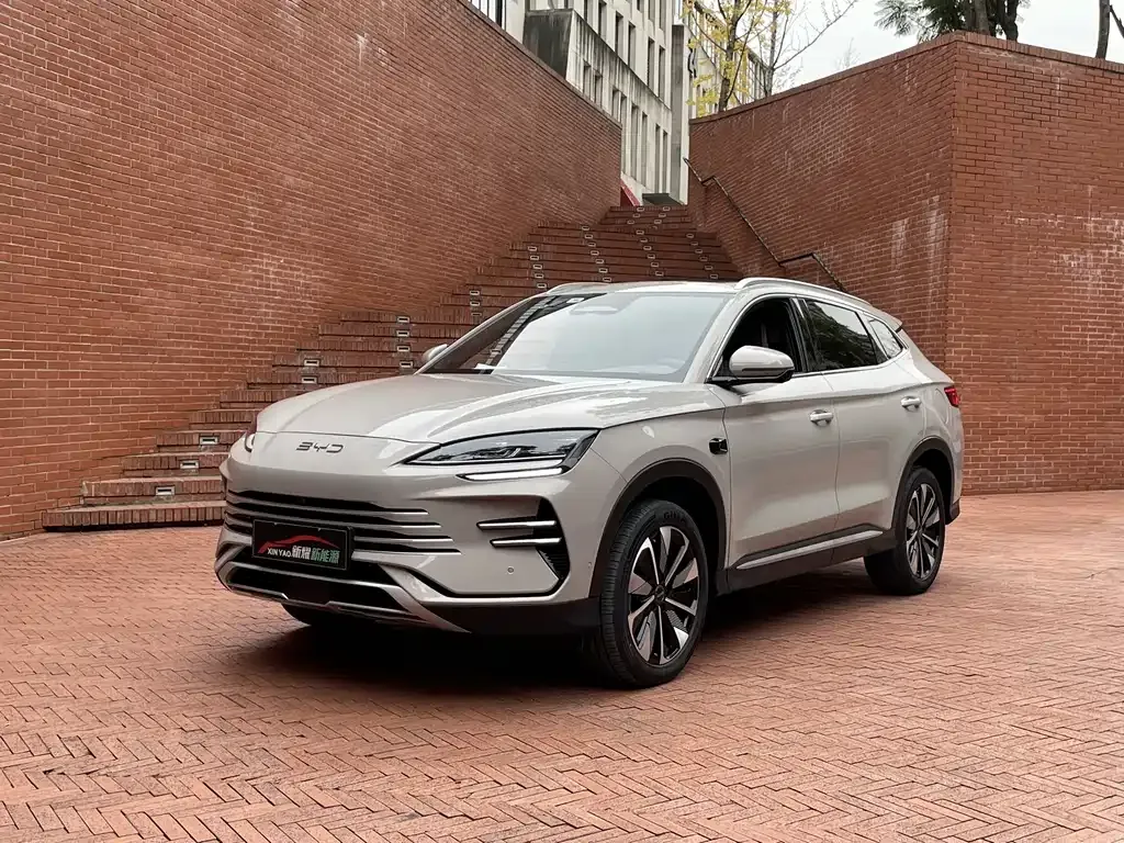 BYD PLUS New Energy 2025 из CN, фото 5