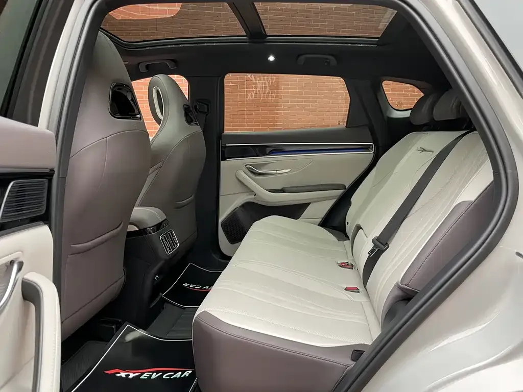 BYD PLUS New Energy 2025 из CN, фото 9