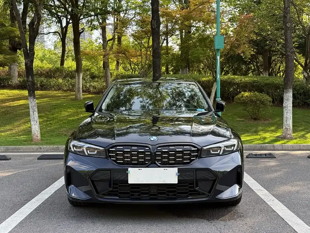 BMW 3 Series 2023 из CN, фото 10