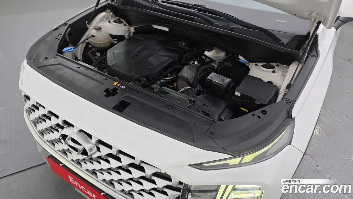 Hyundai Santafe 2021 из KR, фото 9