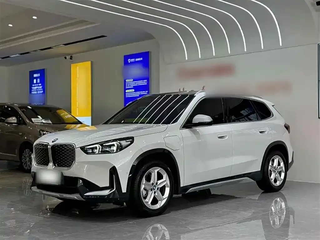 [object Object] iX1 2024 из CN, фото 2