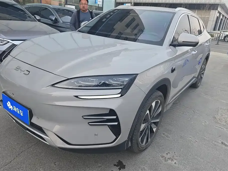 BYD PLUS New Energy 2025 из CN, фото 1
