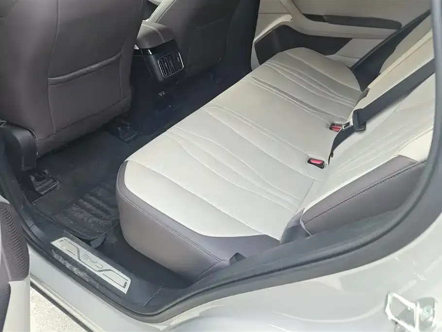 BYD PLUS New Energy 2025 из CN, фото 10