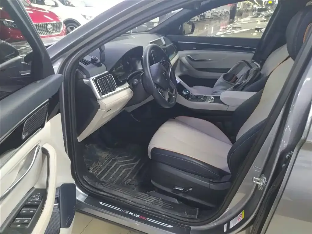 BYD PLUS New Energy 2022 из CN, фото 5