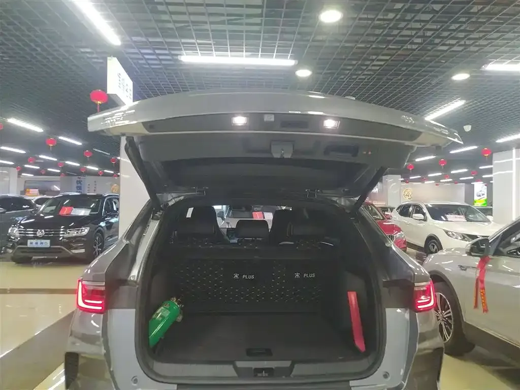 BYD PLUS New Energy 2022 из CN, фото 6