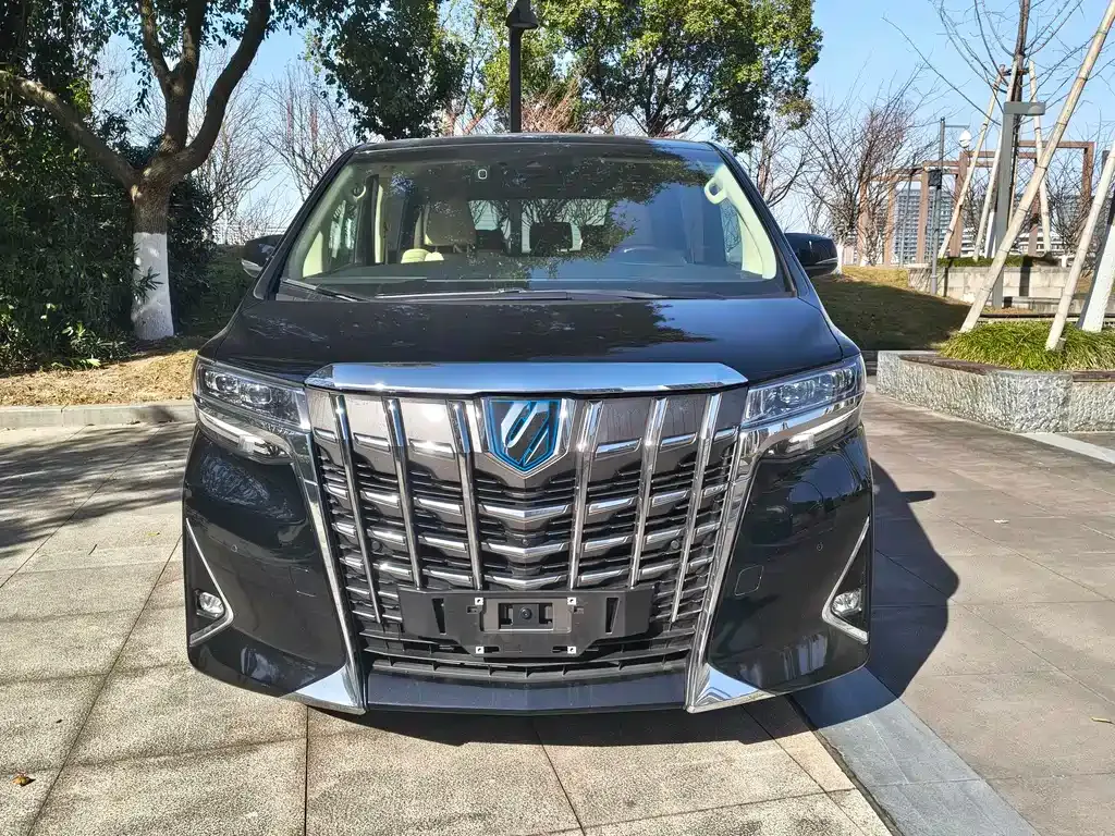 Toyota Alphard 2021 из CN, фото 6