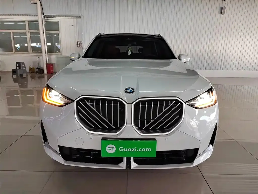 BMW X3 2025 из CN, фото 3