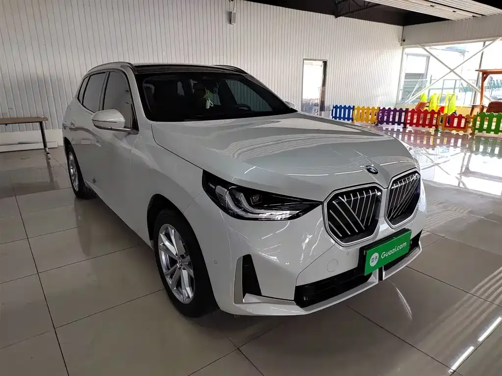 BMW X3 2025 из CN, фото 10