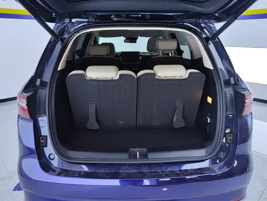 BYD MAX New Energy 2023 из CN, фото 2