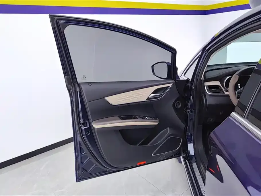 BYD MAX New Energy 2023 из CN, фото 7