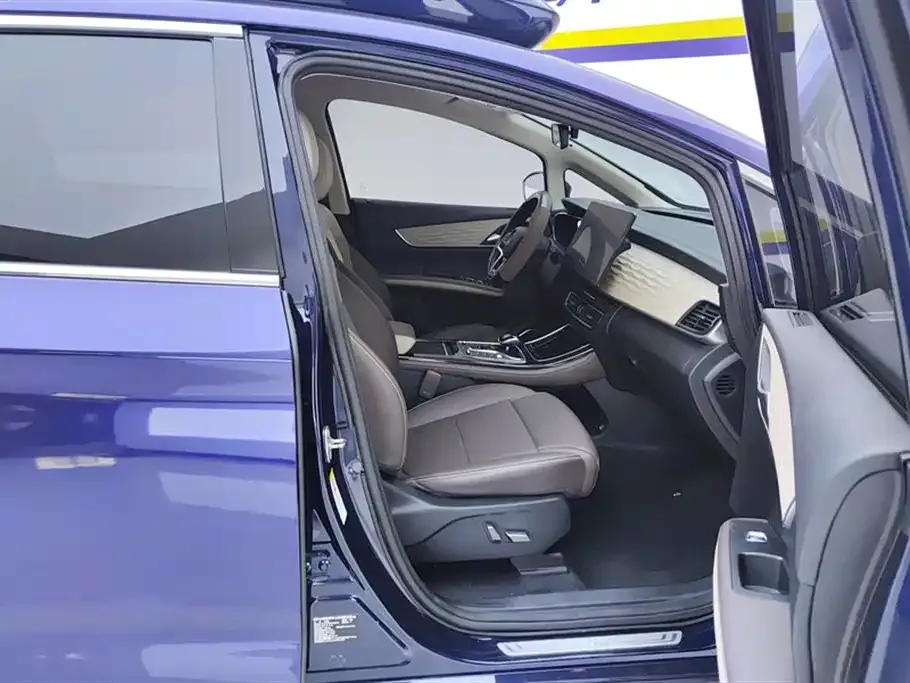 BYD MAX New Energy 2023 из CN, фото 5