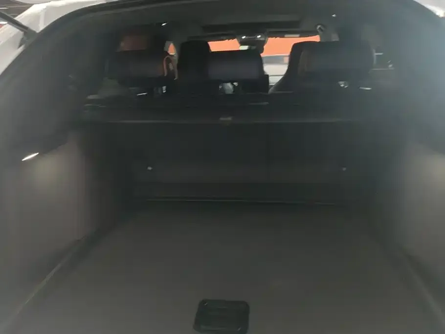 BYD PLUS New Energy 2023 из CN, фото 7
