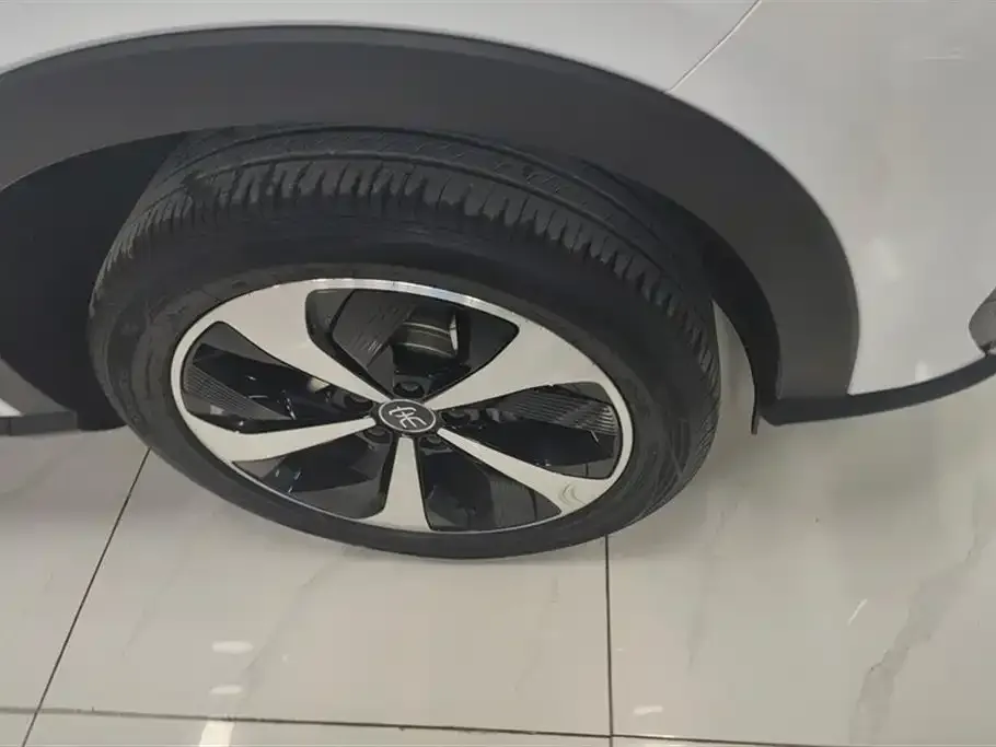 BYD PLUS New Energy 2023 из CN, фото 9