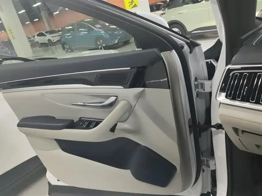 BYD PLUS New Energy 2023 из CN, фото 4
