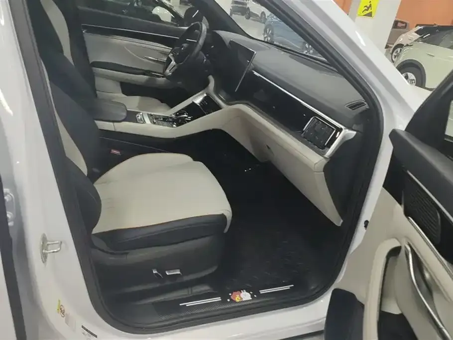 BYD PLUS New Energy 2023 из CN, фото 8