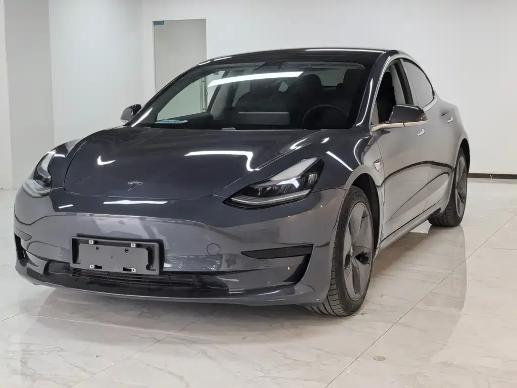 Tesla Model 3 2021 из CN, фото 1
