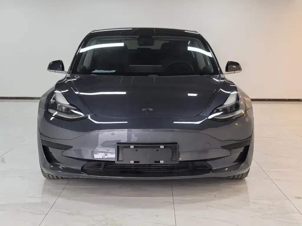 Tesla Model 3 2021 из CN, фото 2