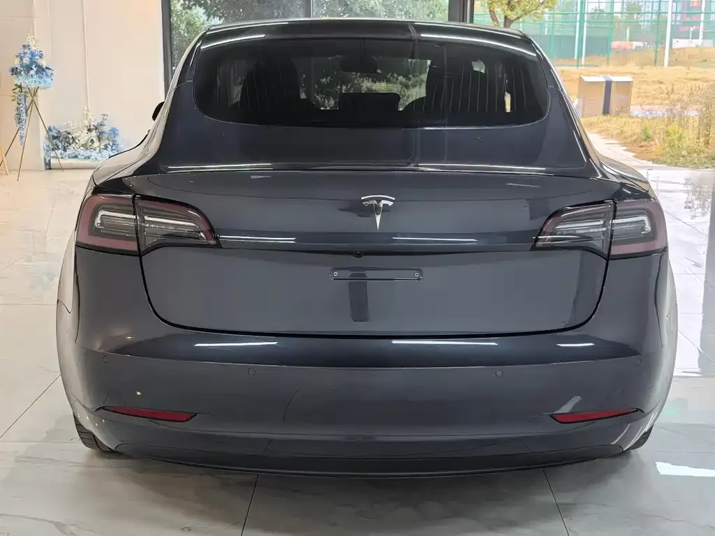 Tesla Model 3 2021 из CN, фото 5