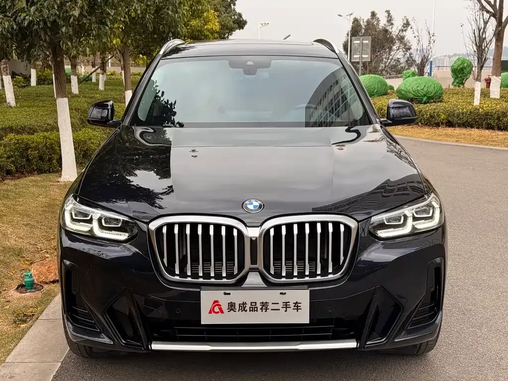 BMW X3 2022 из CN, фото 6