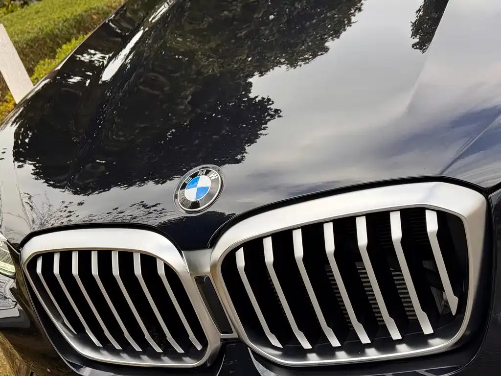 BMW X3 2022 из CN, фото 10