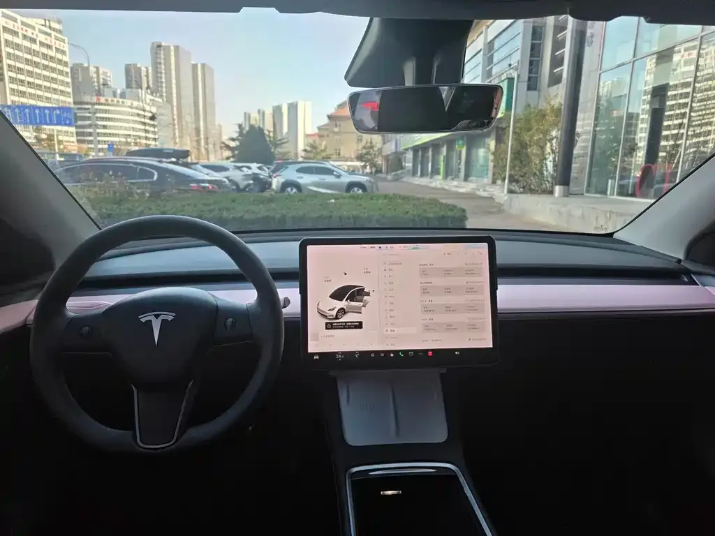 Tesla Model Y — фото 10