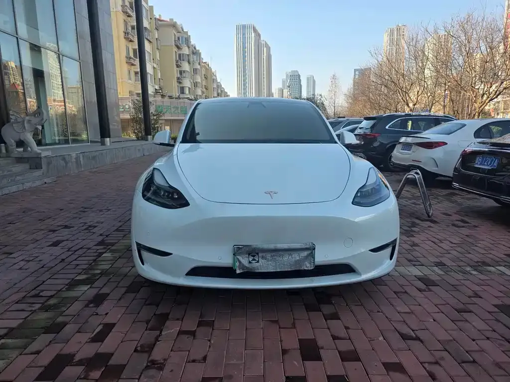 Tesla Model Y — фото 2